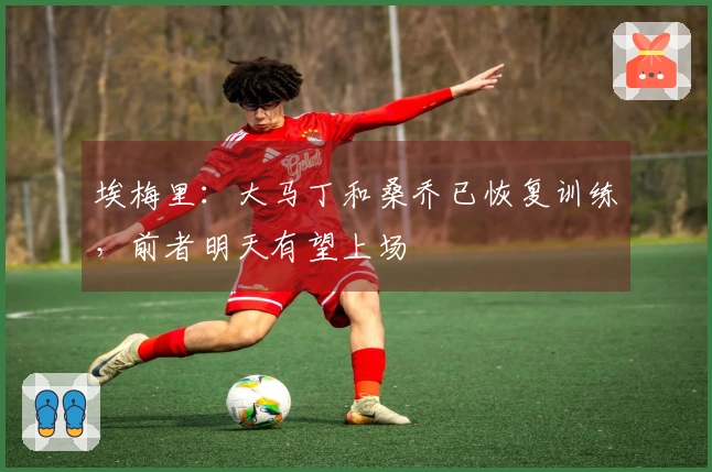 埃梅里：大马丁和桑乔已恢复训练，前者明天有望上场